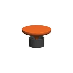 finition de protection pour terminal PPS tuile - conduit de fumée flexible